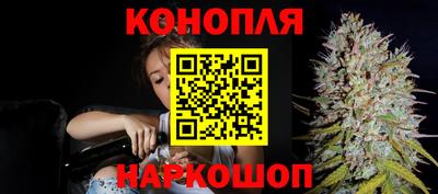сатива Кимры
