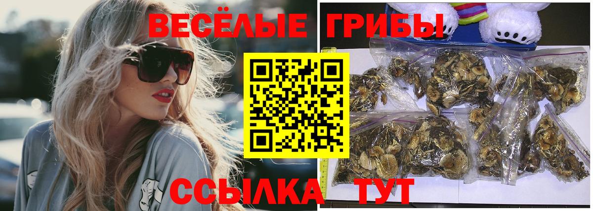 Псилоцибиновые грибы MAGIC MUSHROOMS  Галлюциногенные грибы Cubensis  Котовск  Вход с VPN 